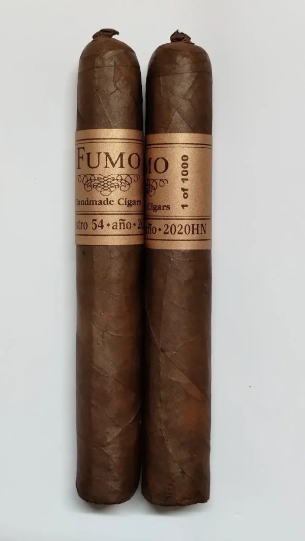 Maestro 52 año 2020HN
