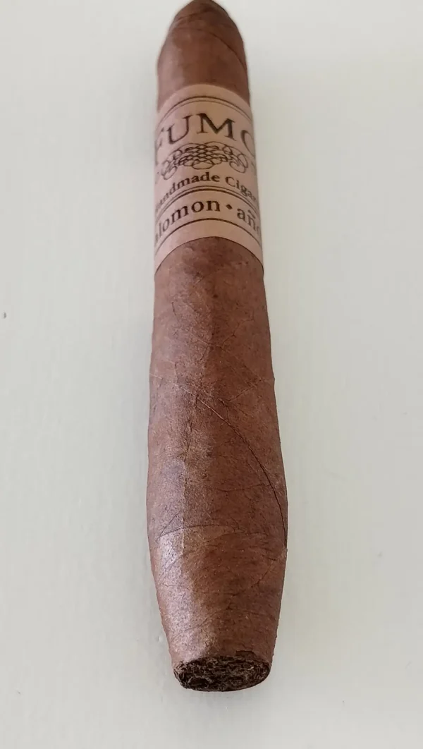 Petit Salomon año 2020HN
