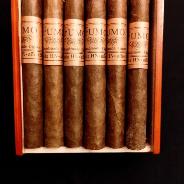 Coronita HN año 2020 - Image 3